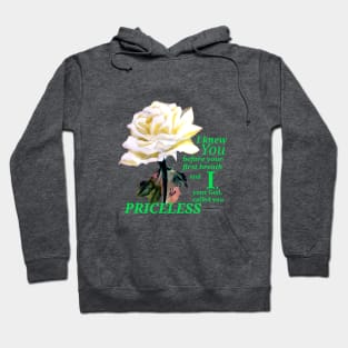 Priceless to God Hoodie